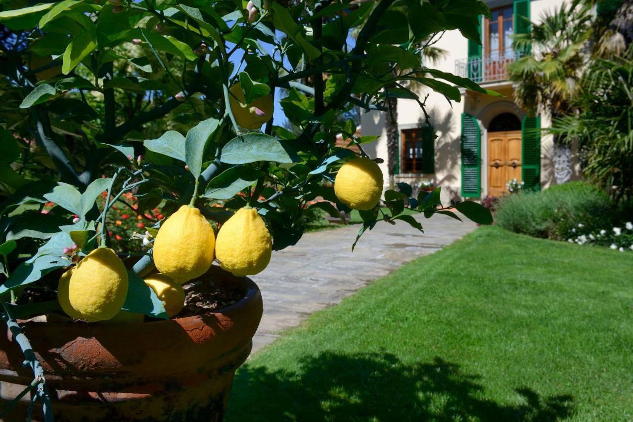 Villa Le Facezie B&B Terranuova Bracciolini Buitenkant foto